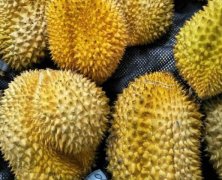 “哄搶榴蓮”檢查結(jié)果終于來了，罪魁禍?zhǔn)拙故撬? />
                                    </div>
                                    <div   id=